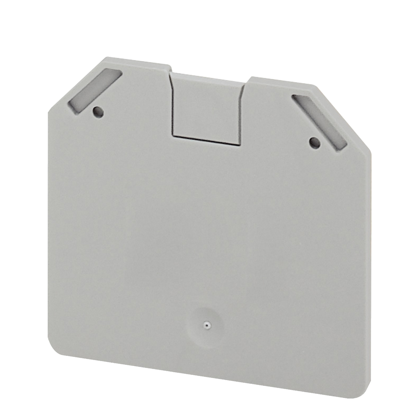 Schneider Electric-NSYTRAC162-box of 50 *  CLOISON EXTREMITE, 2PTS,