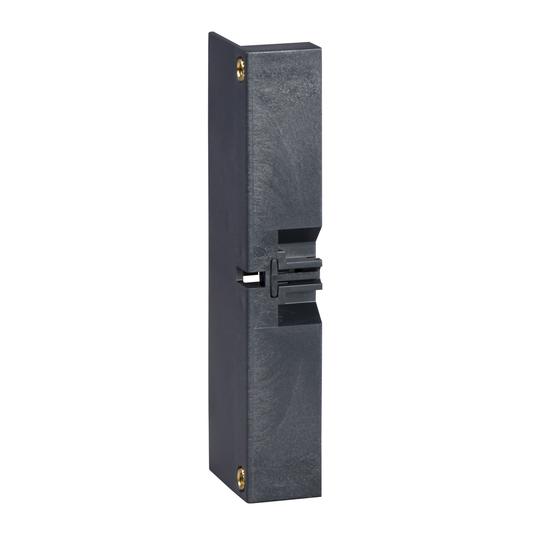 Schneider Electric-28956-Compact INS100 à 160 - cache-vis - 3P/4P - 1 paire