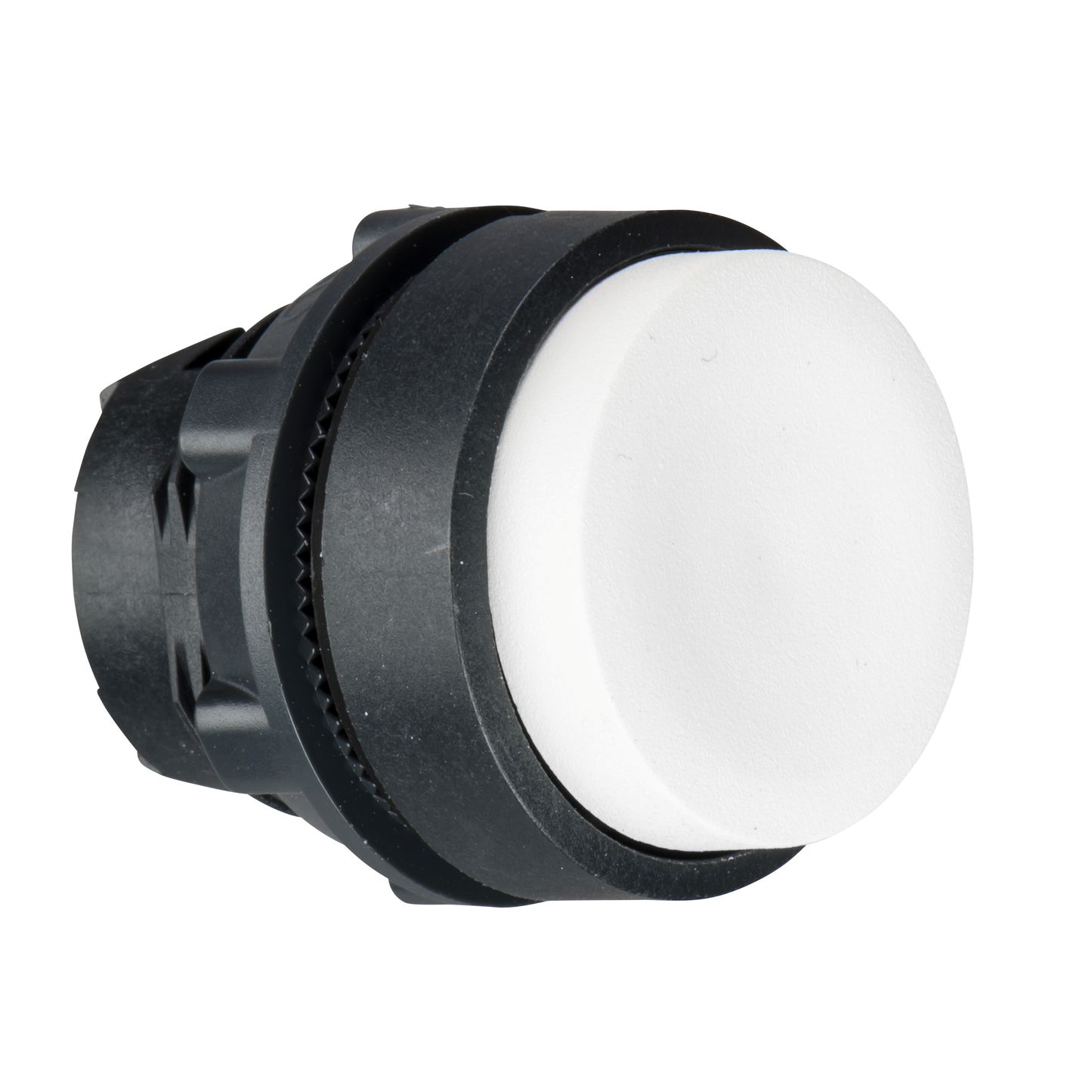 Schneider Electric-ZB5ALCUST01-Harmony XB5 - porte-étiquette plat 30x40 - Ø22 - personnalisée via configurateur