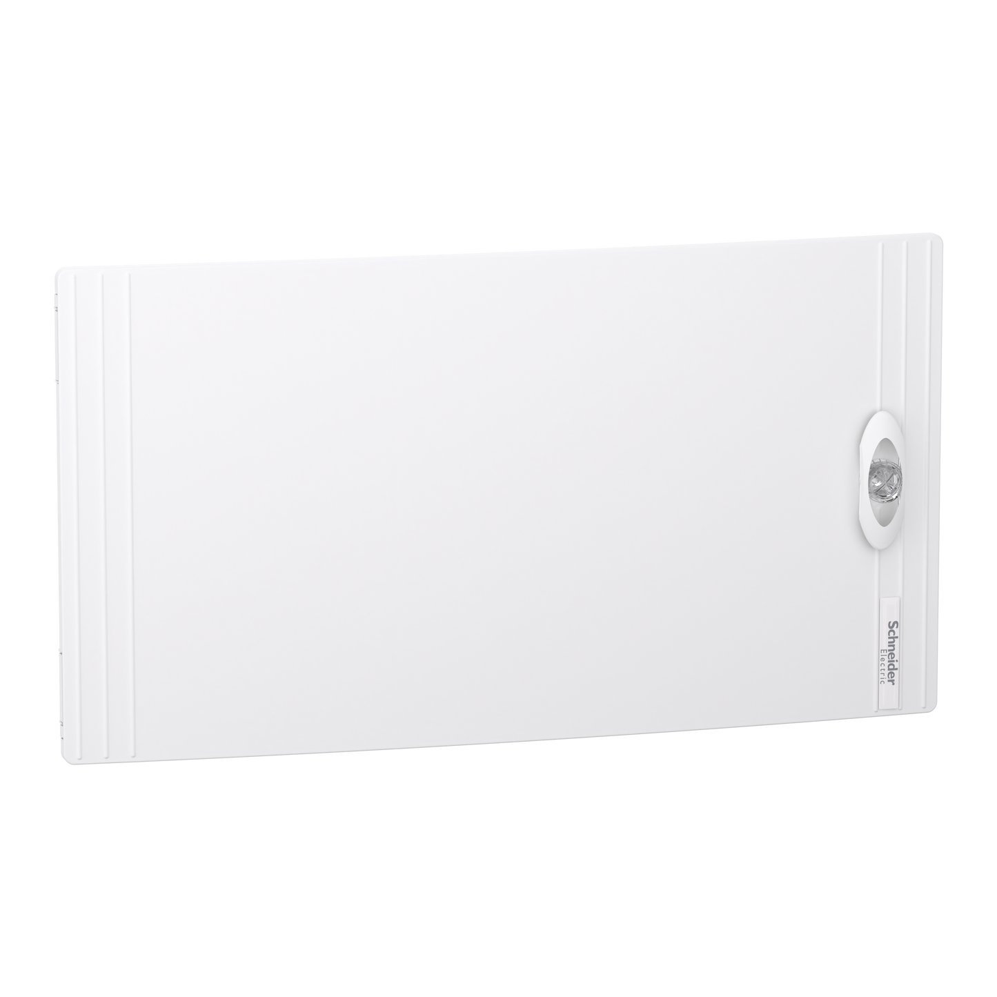 Schneider Electric-LVSXDP124-Porte pleine cof. sail. 1R 24M