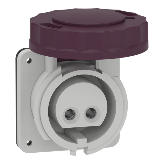Schneider Electric-82951-Mureva - socle de priseindustrielle droite - 16 A - 2P - 20-25 V CA - IP67
