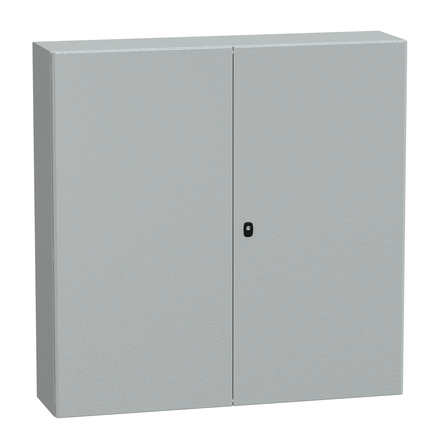 Schneider Electric-NSYS3D121230DP-PanelSeT S3D - Enveloppe acier - H1200xL1200xP300 - châssis plein - 2 portes