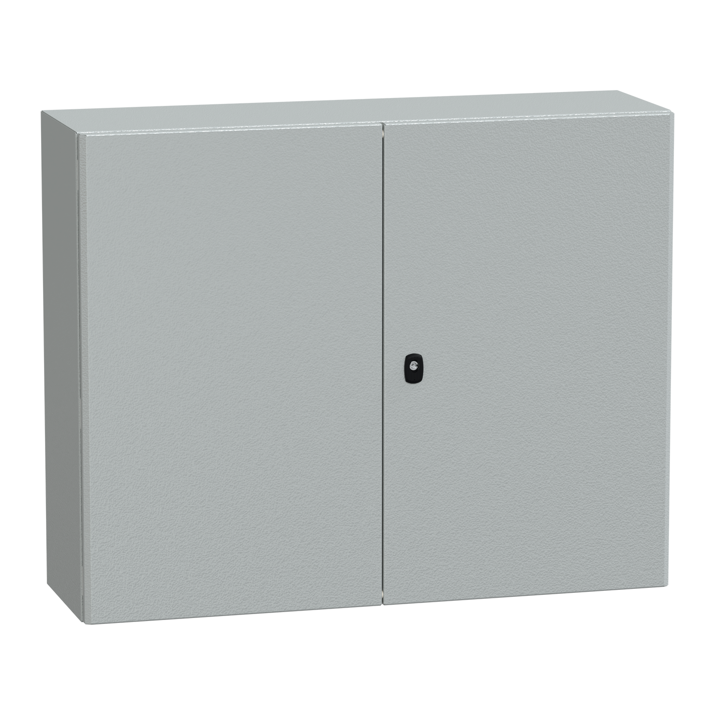 Schneider Electric-NSYS3D81030DP-PanelSeT S3D - Enveloppe acier - 2P - H800xL1000xP300 - châssis plein