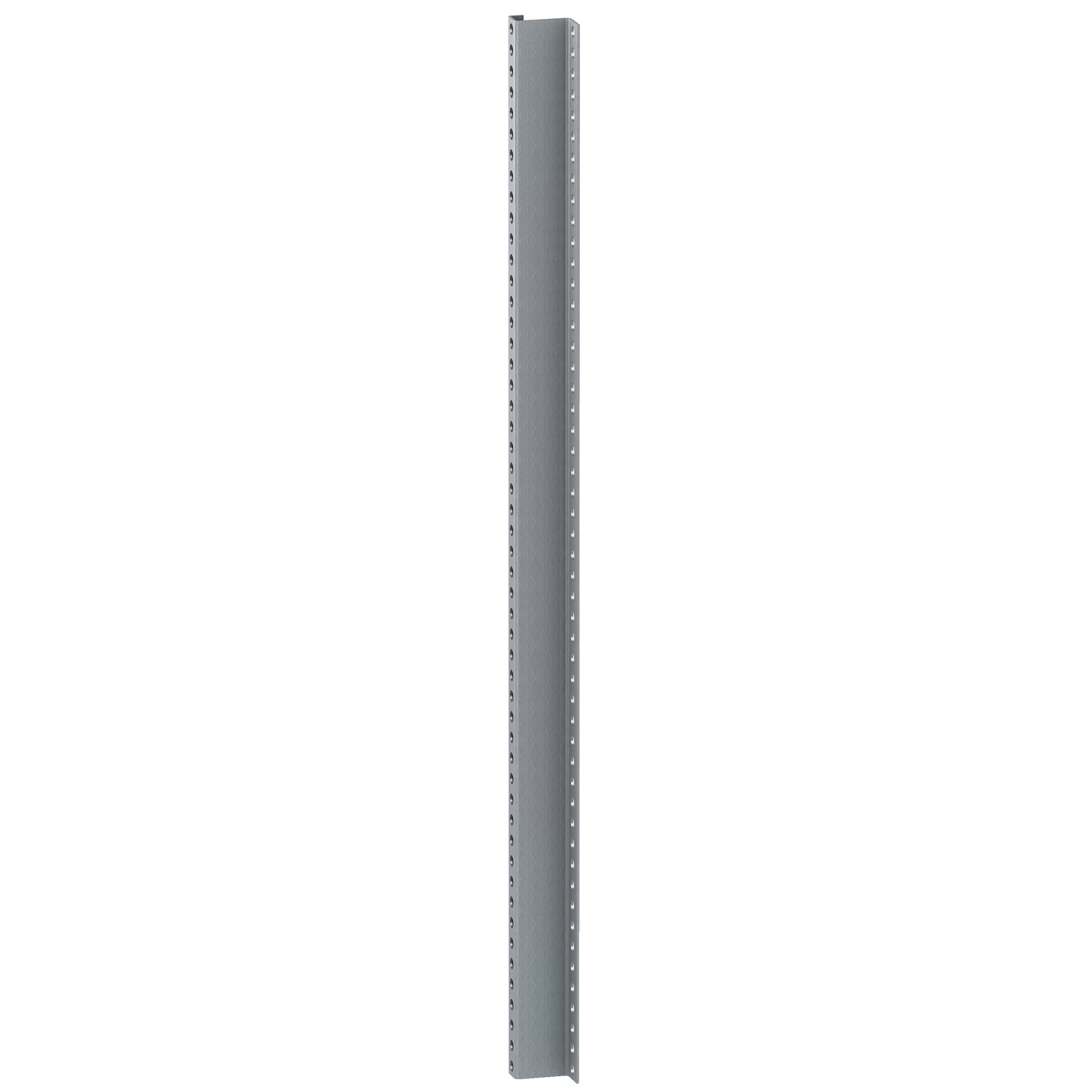 Schneider Electric-DZ6MZ211-PanelSeT - Thalassa - montant perforé - H1920mm
