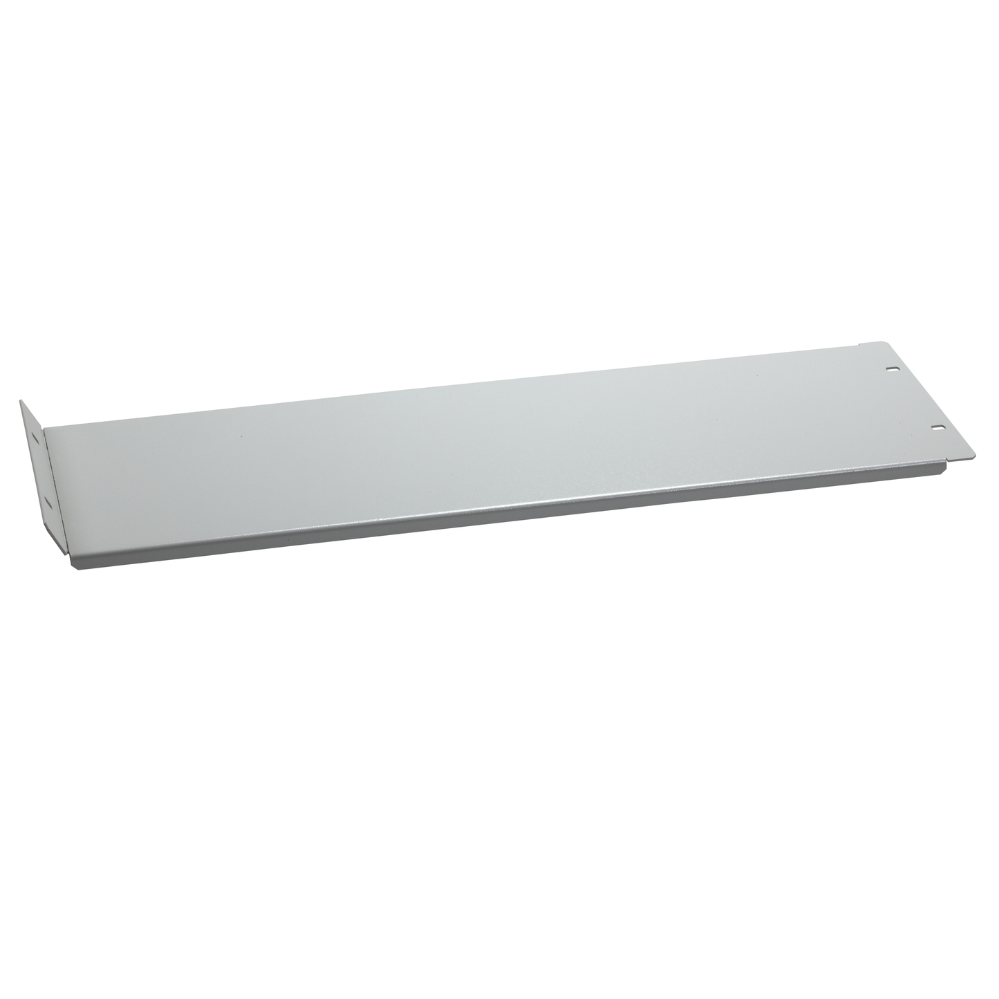 Schneider Electric-NSYMPCH608-PanelSeT - Thalassa - plastron - plein - charnières - 600x800mm