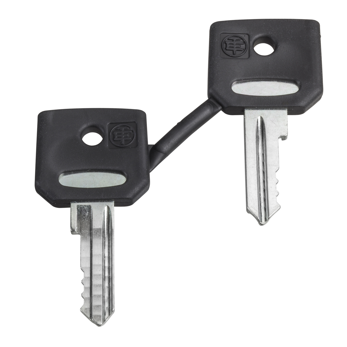 Schneider Electric-ZBD8D1-JEU DE CLE 8D1