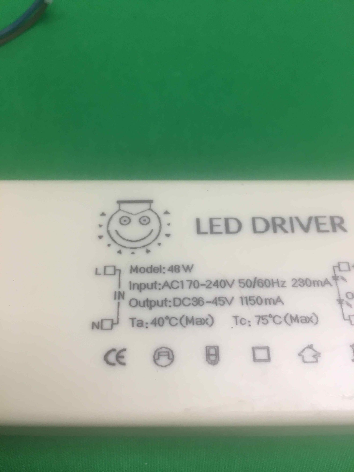 6561