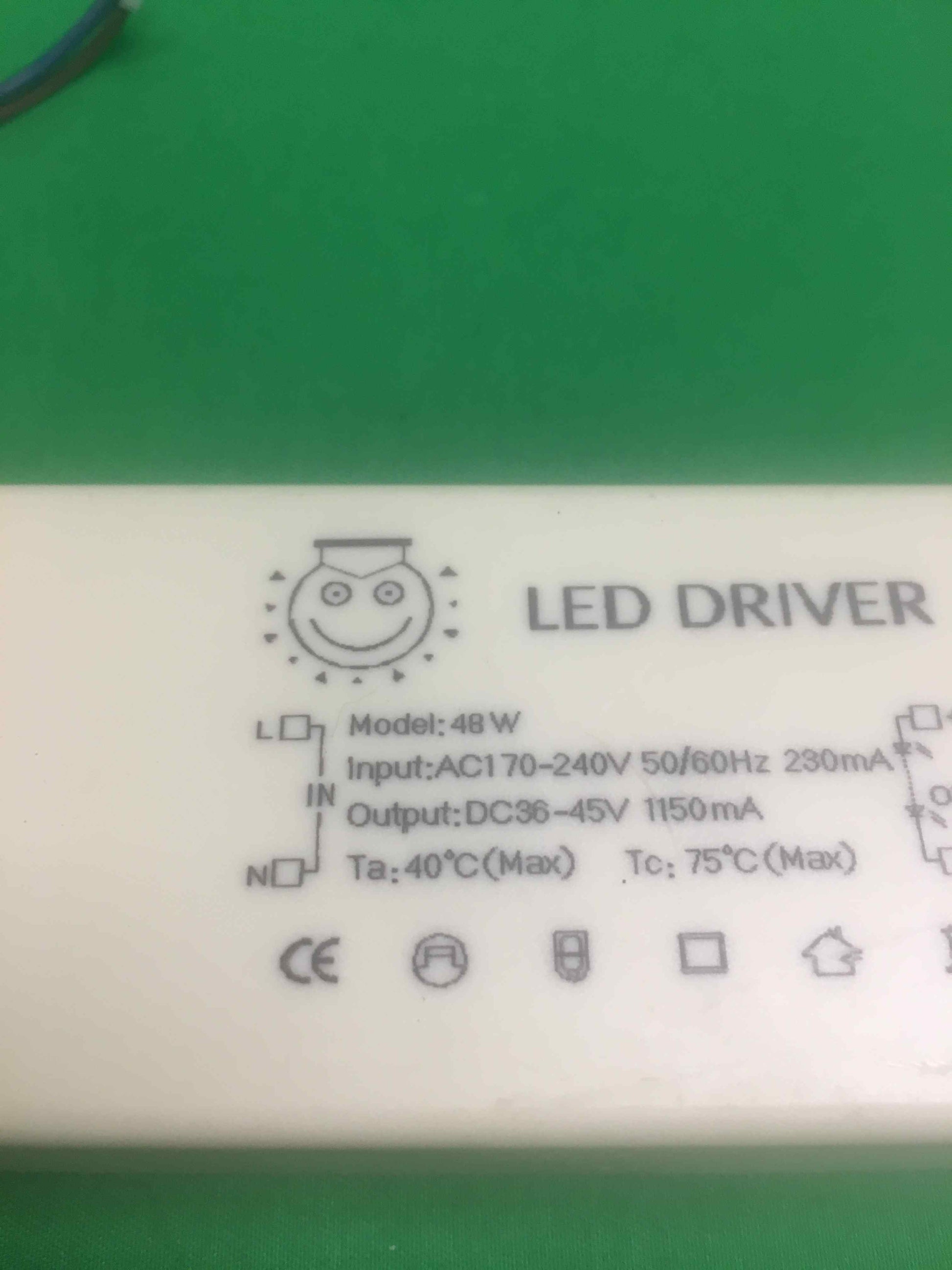 6561